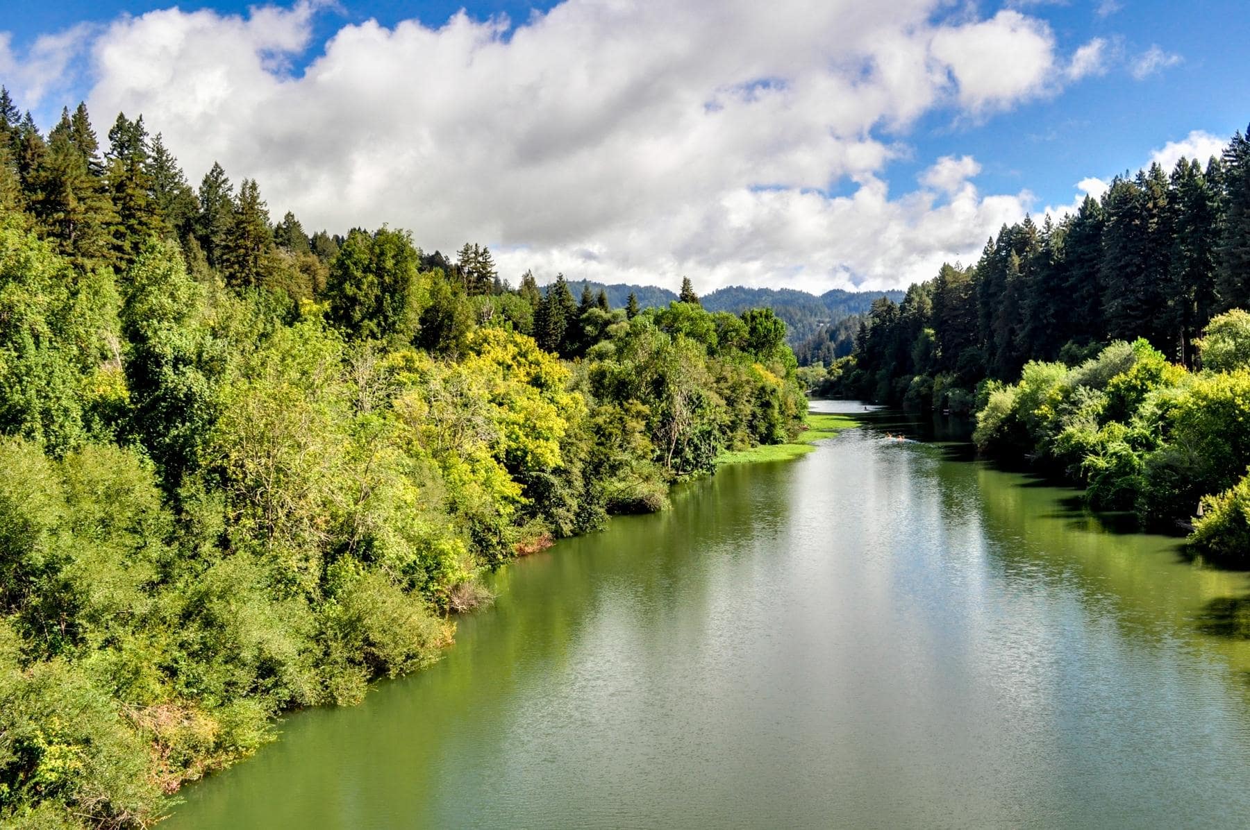 Guerneville, CA: Get away from everything (including cell coverage).