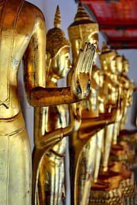 Golden Buddhas. 