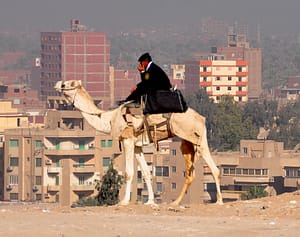 A cop on a camel in Egypt Africa