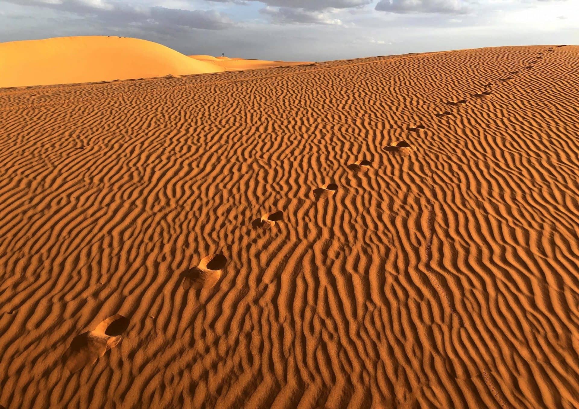 Africa’s Sahara Desert is hot, dry, and sandy AF.
