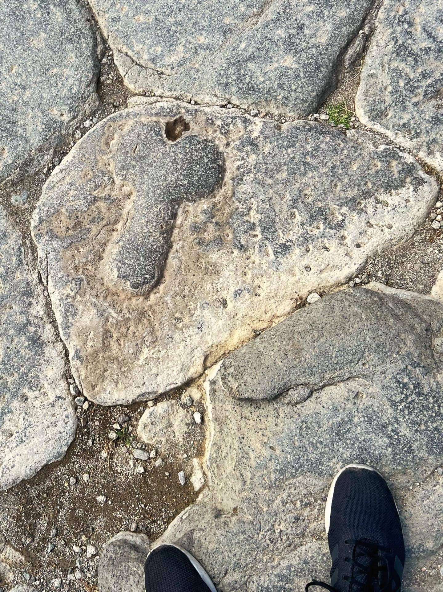 Penis carving in pompeii