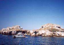 Puerto Vallarta